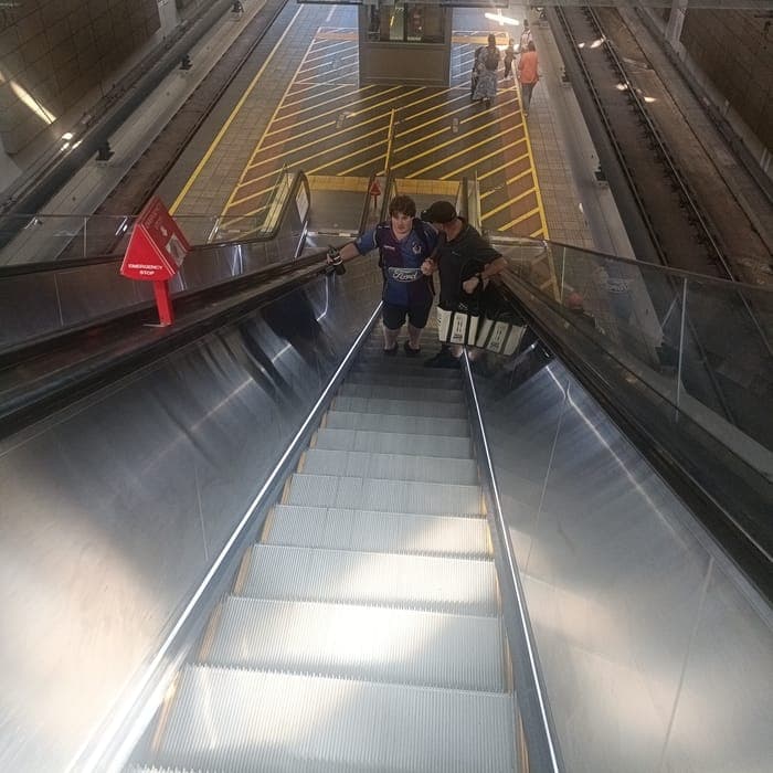 A support worker helping a participant navigate public transport